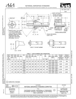AIA NAS5170