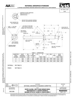 AIA NAS9303