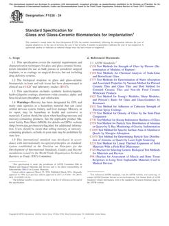 ASTM F1538-24