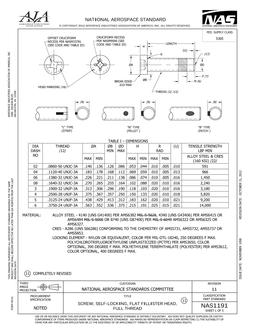 AIA NAS1191