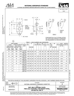 AIA NASM21059