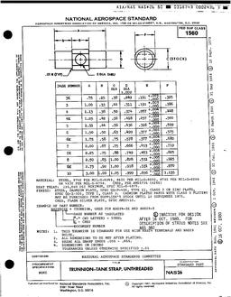 AIA NAS26