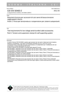 CEI EN 50483-2