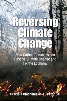 REVERSING CLIMATE CHANGE: HOW CARBON REMOVALS CAN RESOLVE CLIMATE CHANGE AND FIX THE ECONOMY
