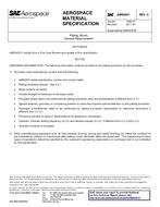 SAE AMS2451C