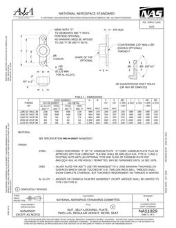 AIA NAS1029