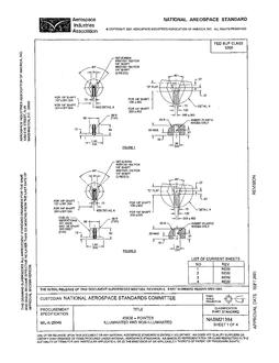 AIA NASM21384