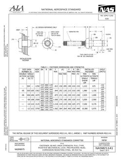 AIA NASM21141