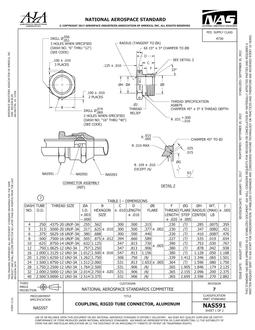 AIA NAS591