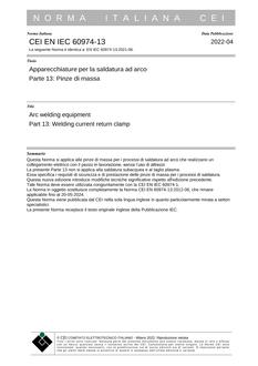 CEI EN IEC 60974-13