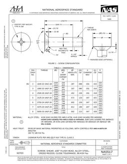 AIA NAS517