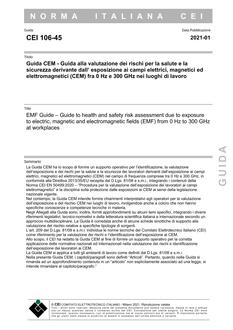CEI 106-45