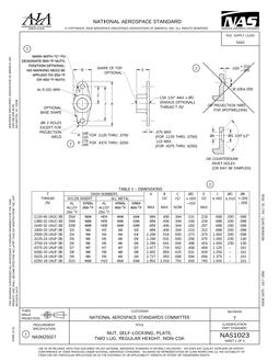 AIA NAS1023
