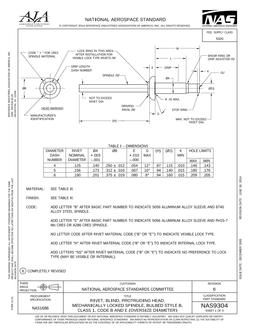 AIA NAS9304
