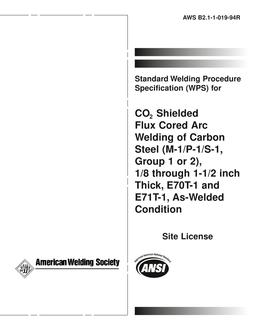 AWS B2.1-1-019