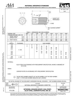 AIA NASM51981