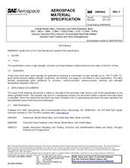 SAE AMS5842F