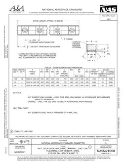 AIA NASM21068