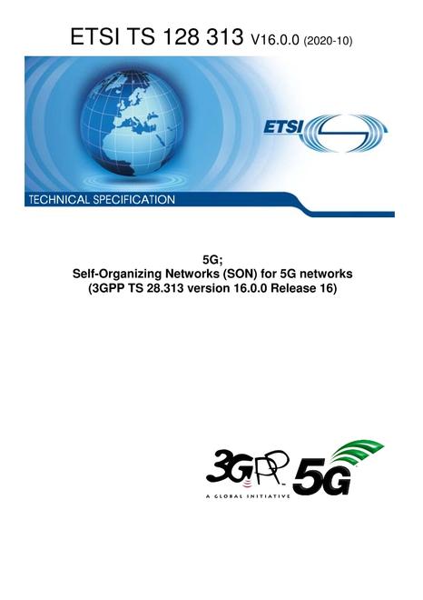 ETSI TS 128 313