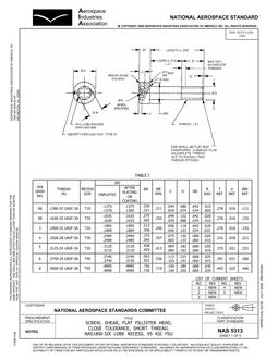 AIA NAS5313